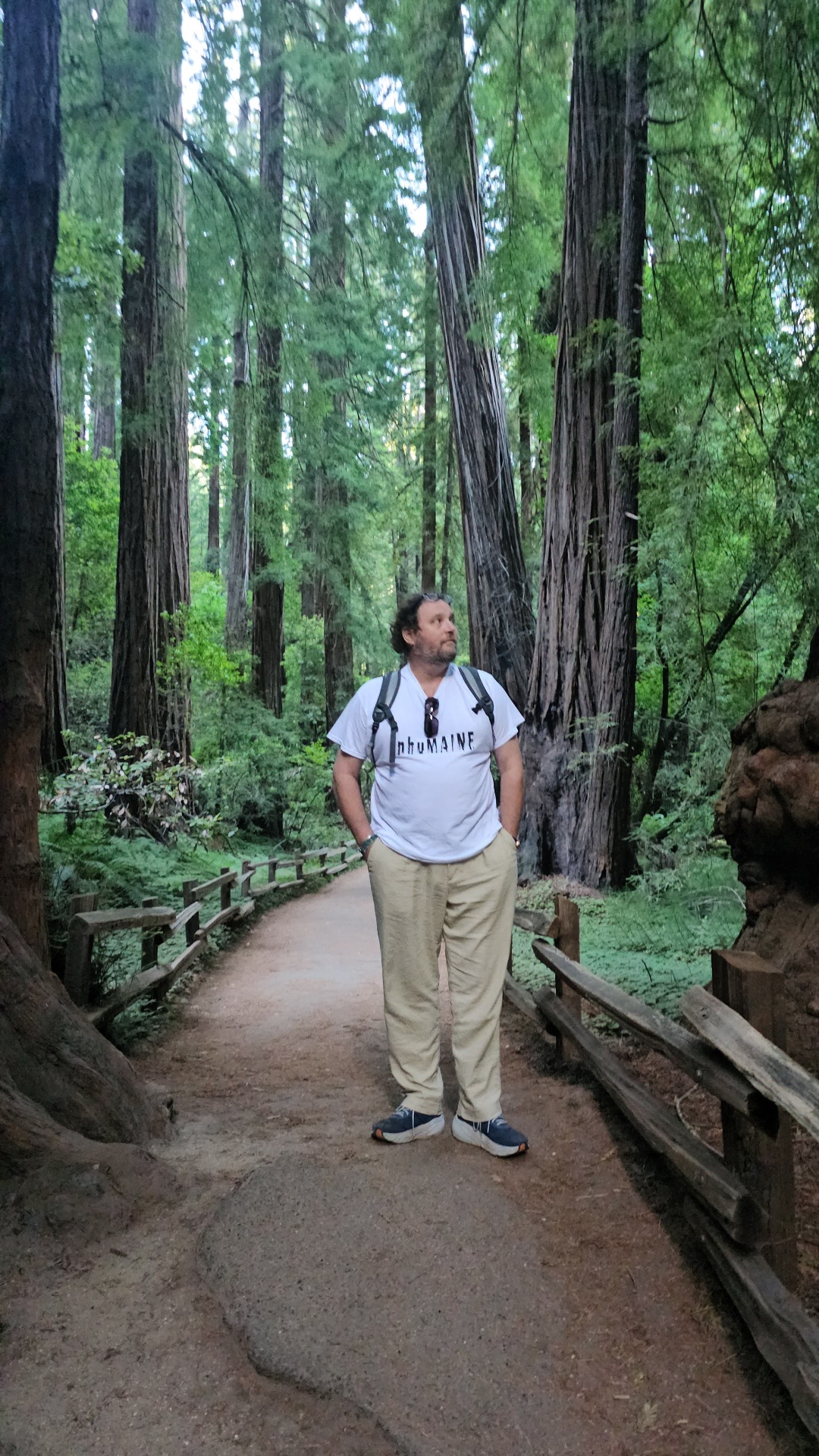 Rogan O'Donnell among the redwoods